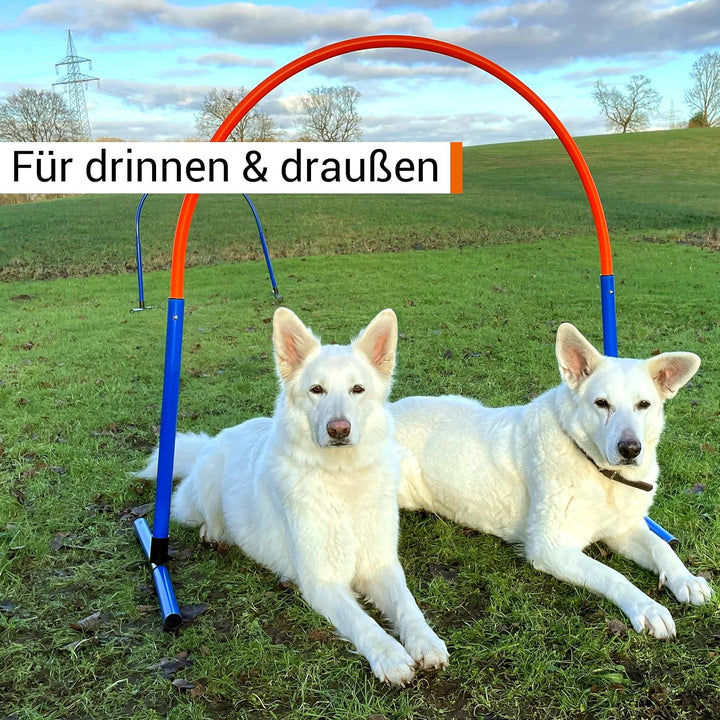 Hoopers Hoop – wetterfest, VDH-konform &amp; farbig – mit Stecksystem für sicheres Hundetraining – aus r