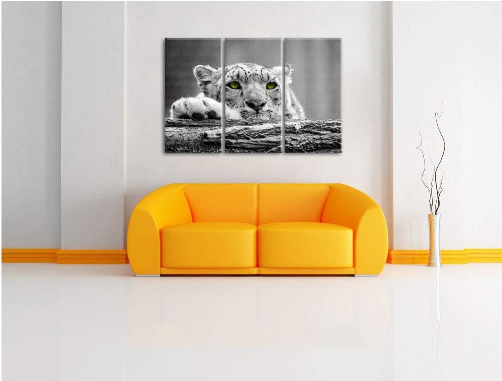 Schöner Gepard mit grünen Augen auf Baumstamm schwarz/weiss 3-Teiler Leinwandbild 120x80 Bild auf Le