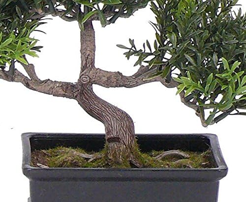 kunstpflanzen-discount.com Künstlicher Teeblat Bonsai 23cm in dekorativer Schale mit 98 naturgetreue