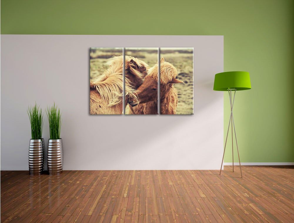 Pixxprint Islandpferde Pony als Leinwandbild | Grösse: 3 Teilig (120x80) | Wandbild| Kunstdruck | fe