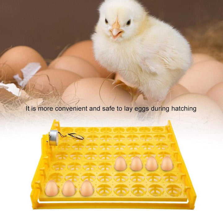 Zerodis Eggs Incubator Turning Tray Tool, 56 Eier Automatische Wachtelwender Tray zum Schlüpfen Huhn
