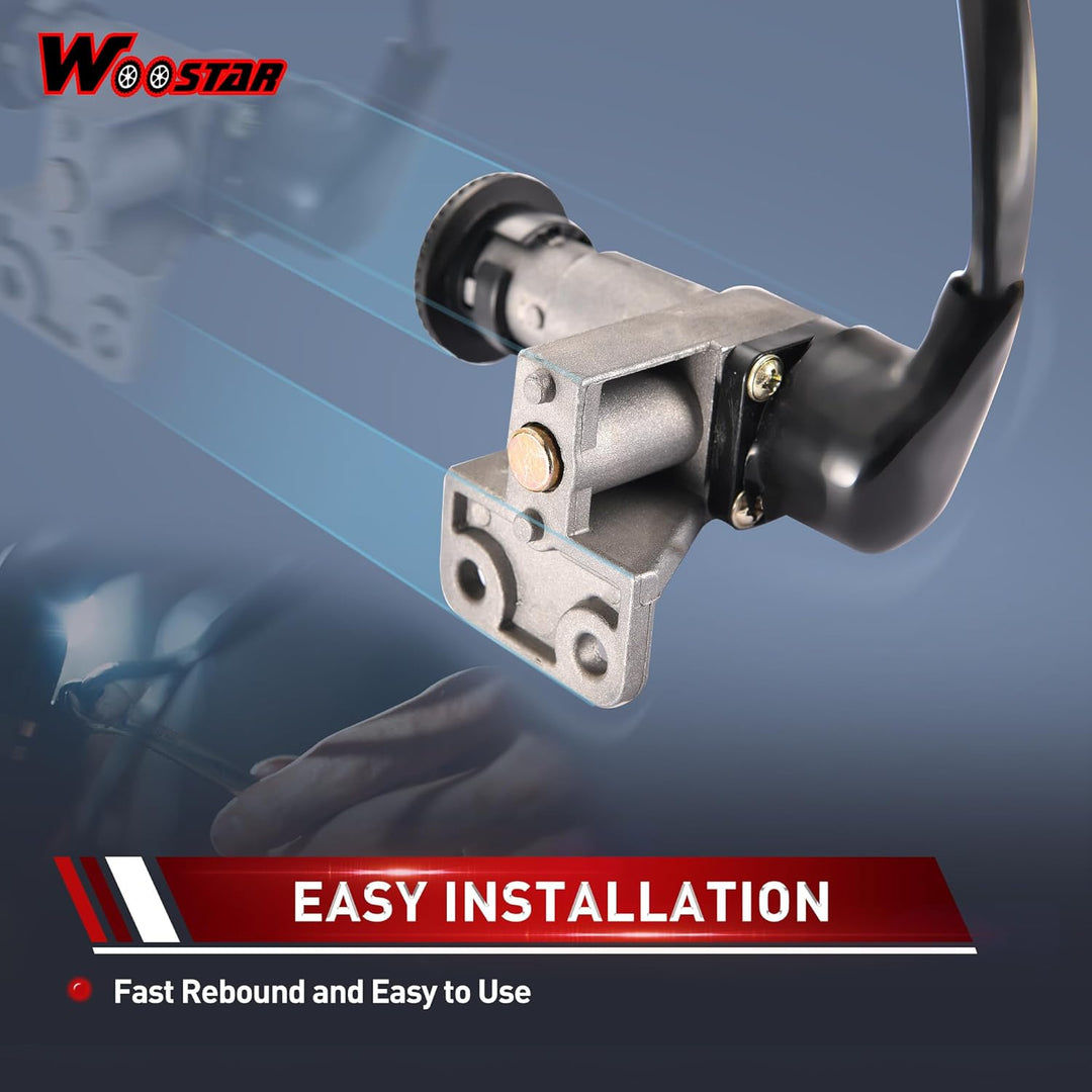 WOOSTAR 4 Draht Zündschlüsselschalter Ersatz für GY6 49ccm 50ccm Taotao Roller Moped Jonway 50QT-21