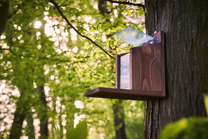 Eichhörnchen Futterhaus aus Holz – Wetterfestes Futterstation für Eichhörnchen mit Acrylglas-Dach –