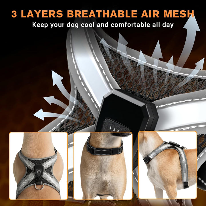 LED Leuchtgeschirr für Hunde - Aufladbar & Reflektierend Hundegeschirr, 3-Lagiges Air Mesh für Atmun