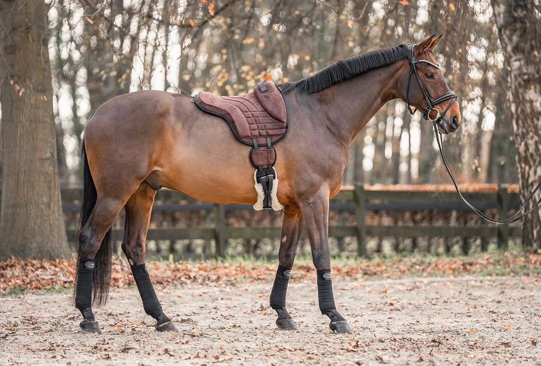 Equinate Reitpad Harper aus synthetischem Wildleder Pony Braun - Bareback Pad mit pflegeleichter Neo