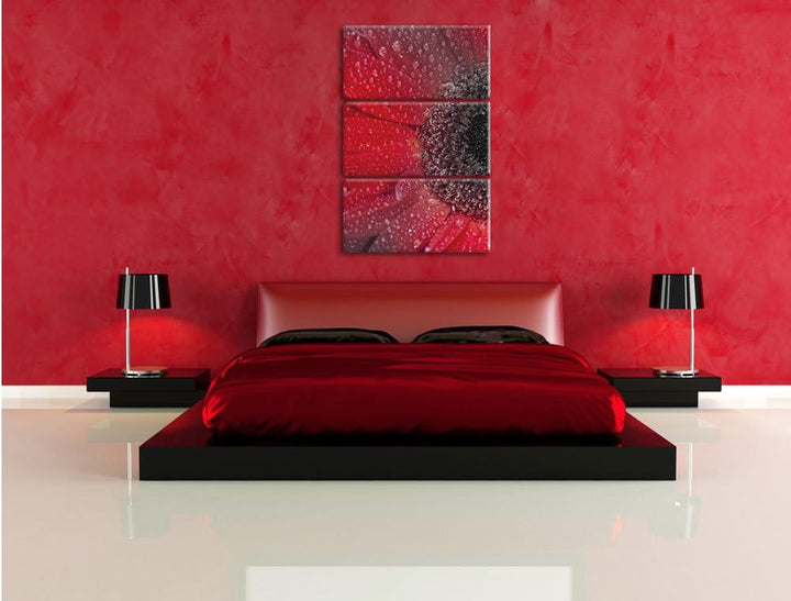Pixxprint Rote Gerbera mit Wassertropfen als Leinwandbild/Grösse: 3 Teilig (120x80) cm/Wandbild/Kuns