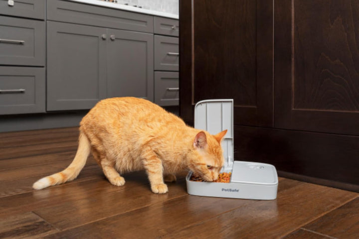 PetSafe Futterautomat für 2 Mahlzeiten, Integrierte Schaltuhren, BPA-freier Futternapf, Für Trockenf