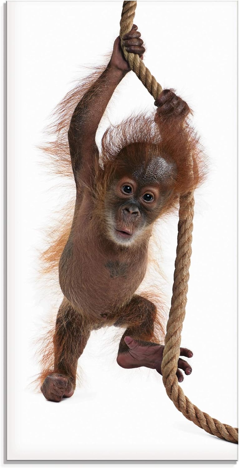 ARTland Glasbilder Wandbild Glas Bild einteilig 30x60 cm Hochformat Asien Tiere AFFE Baby Orang Utan