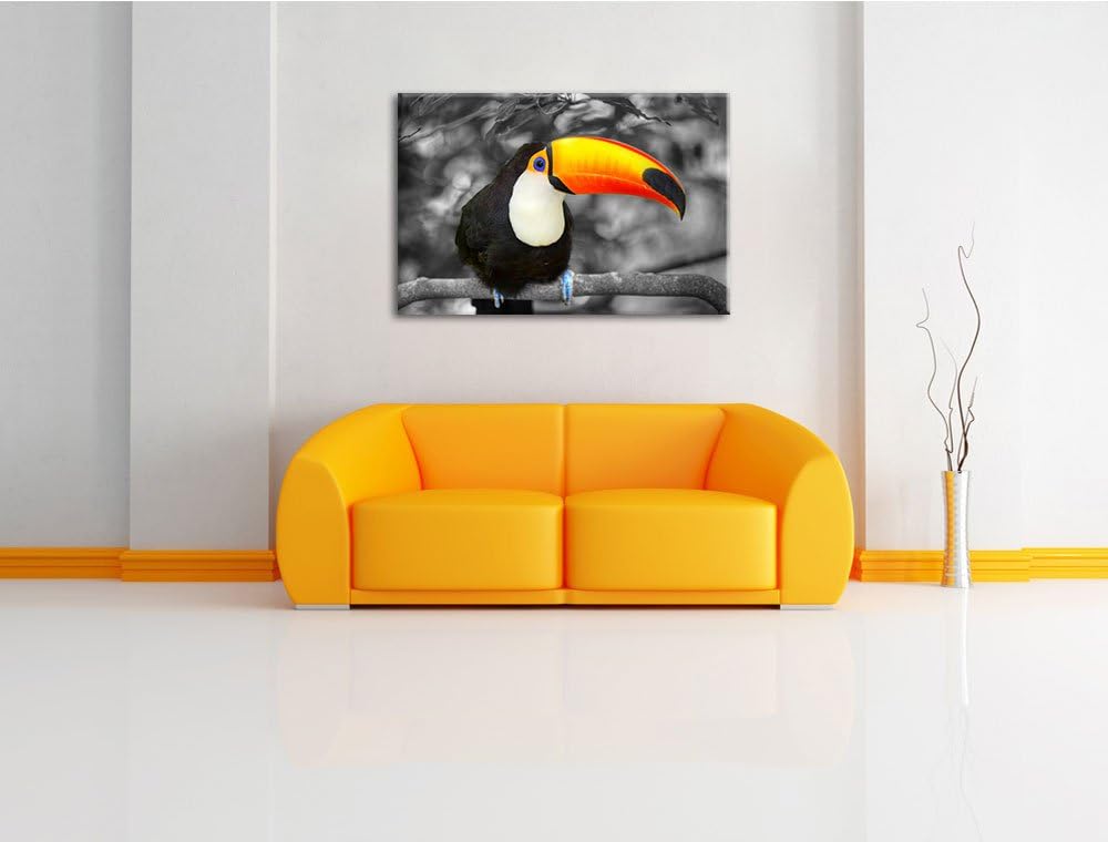 prachtvoller exotischer Tukan schwarz/weiss Format: 100x70 auf Leinwand, XXL riesige Bilder fertig g