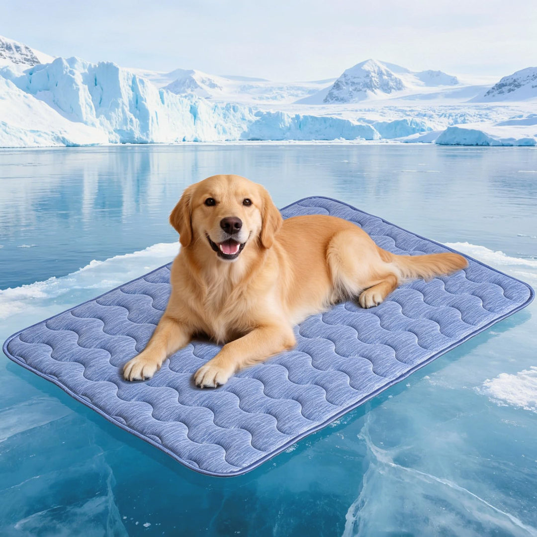 kühlmatte Hunde, doppelseitige Kühlmatte für Haustiere, 70 x 48 cm, Arc-Chill-Kühlfaser & Q-MAX > 0,