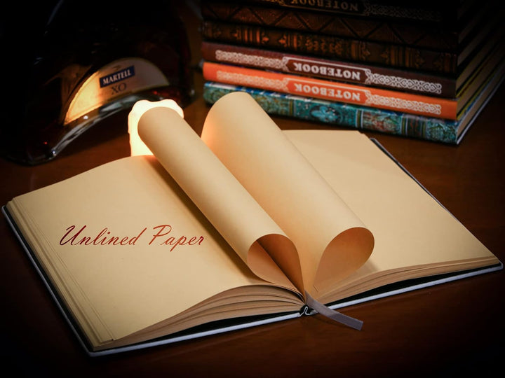A.F.N.A.L Unliniertes Tagebuch – DND Drache Bronze 3D-geprägtes Kunstmuster Hardcover Notizbuch Gesc
