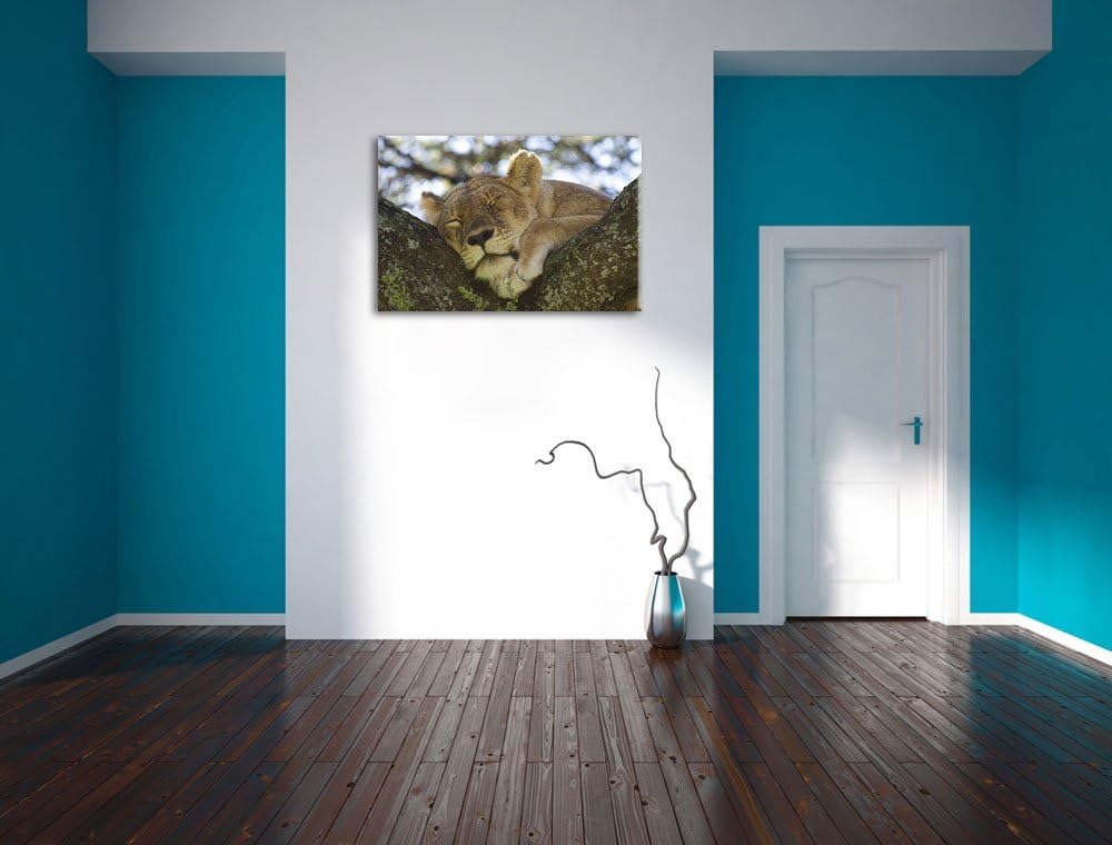 müde Löwin ruht auf Baum Leinwand, XXL riesige Bilder fertig gerahmt mit Keilrahmen, Kunstdruck auf