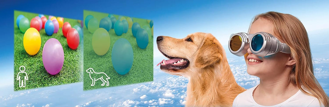 Brainstorm TOYS E2064 Sehen Sie die Welt durch die Augen Anderer, Mehrfarbig, Einheitsgrösse