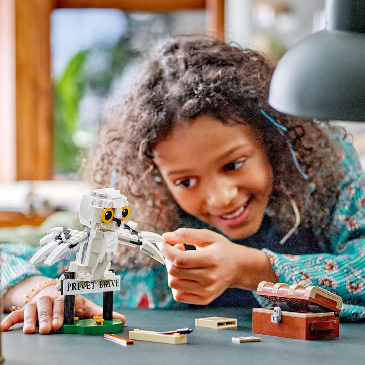 LEGO Harry Potter Hagrids Hütte: EIN unerwarteter Besuch Set mit 5 Mini-Figuren und 2 Tierfiguren &