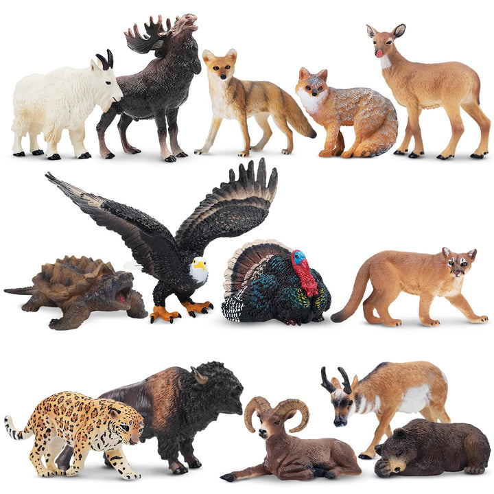 TOYMANY 14 Stück Mini Nordamerikanische Waldtierfiguren, Realistische Dschungel Spielfiguren Spielze