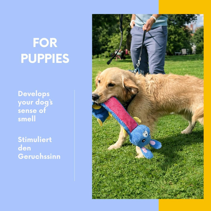 PAWZZLE Hundelickspielzeug - Schnüffelspielzeug für Hunde & Welpen – Interaktives Futterspielzeug mi