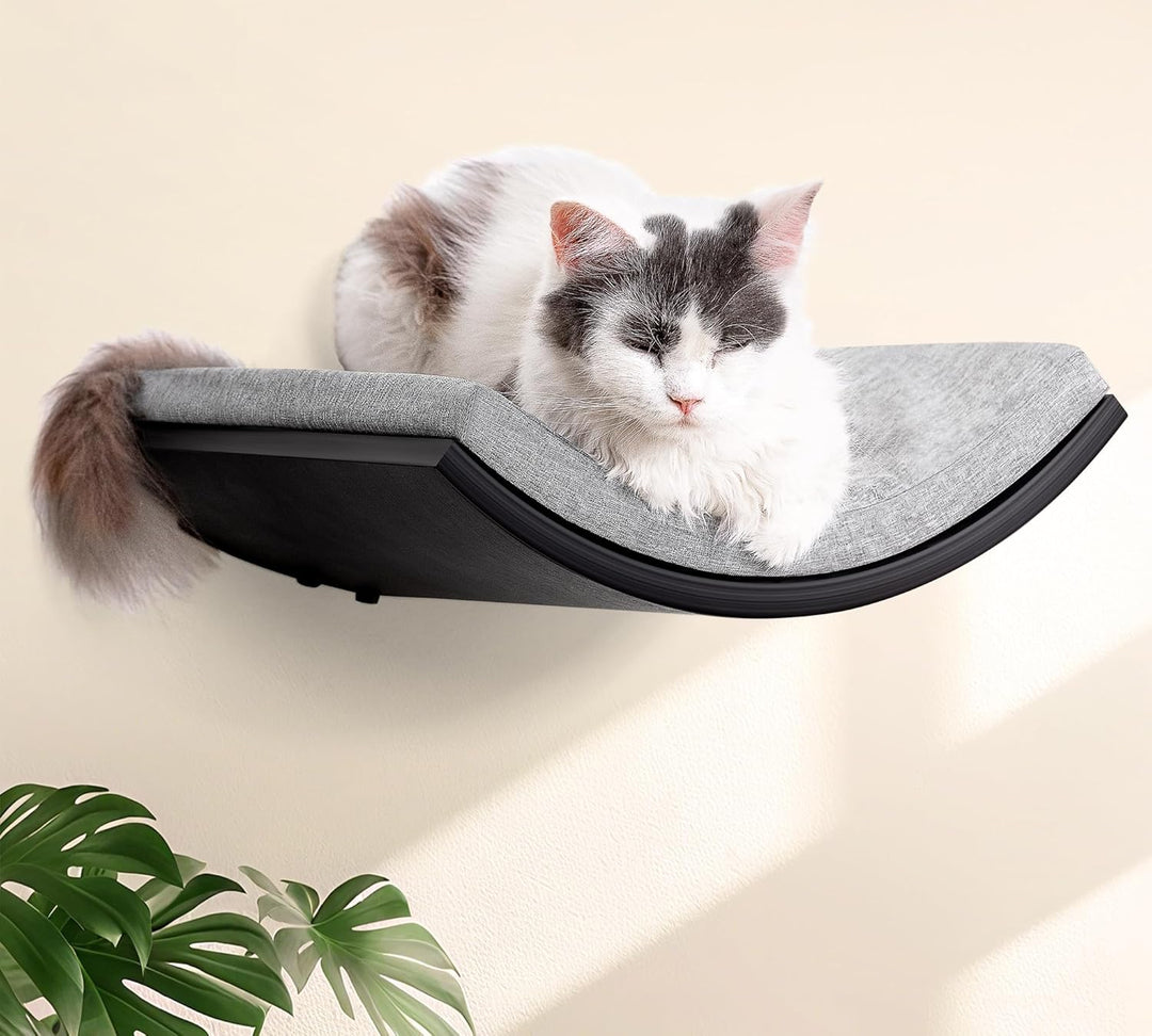 Gebogenes Katzen-Wandregal, Katzen Kletterwand mit Schaumstoffmatte, Wandmontiertes Massivholz Katze