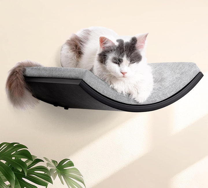 Gebogenes Katzen-Wandregal, Katzen Kletterwand mit Schaumstoffmatte, Wandmontiertes Massivholz Katze