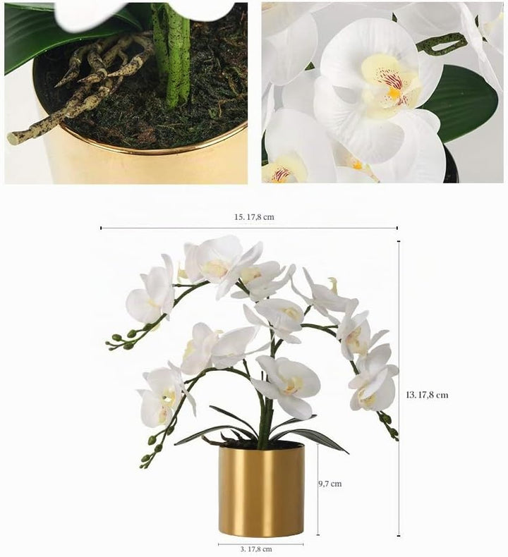 LESING Künstliche Orchidee mit Vase, weisse Orchidee Bonsai künstliche Orchidee Phalaenopsis Pflanzt