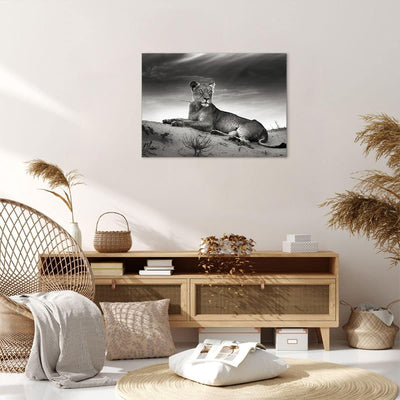 Bilder auf Leinwand Tierwelt weiblich katze Tier Leinwandbild 70x50cm Wandbilder Dekoration Wohnzimm