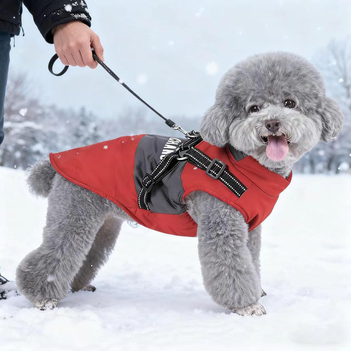 Hundejacke für kleine mittelgrosse Hunde, Warmer winddichter Winter Hundemantel mit Geschirr, Hausti