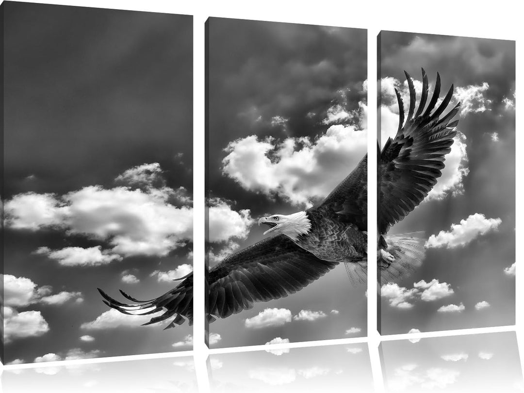Pixxprint Adler fliegt über Berge als Leinwandbild/Grösse: 3 Teilig (120x80) cm/Wandbild/Kunstdruck/