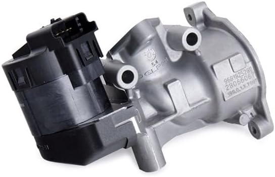 Delphi EG10396-12B1 Agr-Ventil