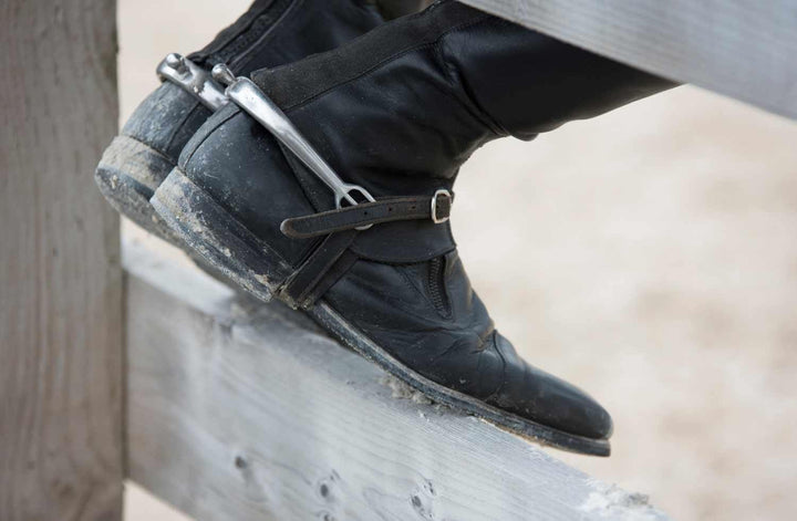 Harry's Horse Schwanenhalssporen Damen 40 mm Sporen mit Schwanenhals