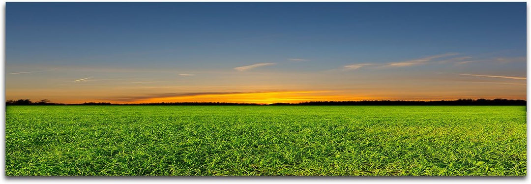 Augenblicke Wandbilder Leinwandbild als Panorama in 150x50cm Feld Frühling Wald Abendrot
