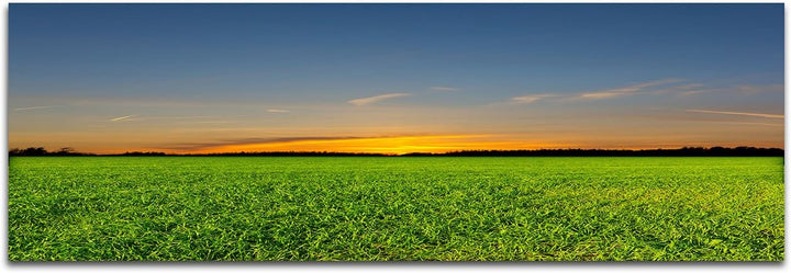 Augenblicke Wandbilder Leinwandbild als Panorama in 150x50cm Feld Frühling Wald Abendrot
