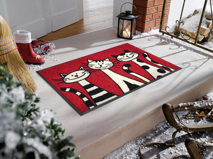 wash+dry Fussmatte, Three Cats 50x75 cm, innen und aussen, waschbar