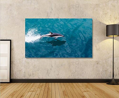 islandburner Bild Bilder auf Leinwand Delphin V2 Delfin 1p XXL Poster Leinwandbild Wandbild Dekoarti