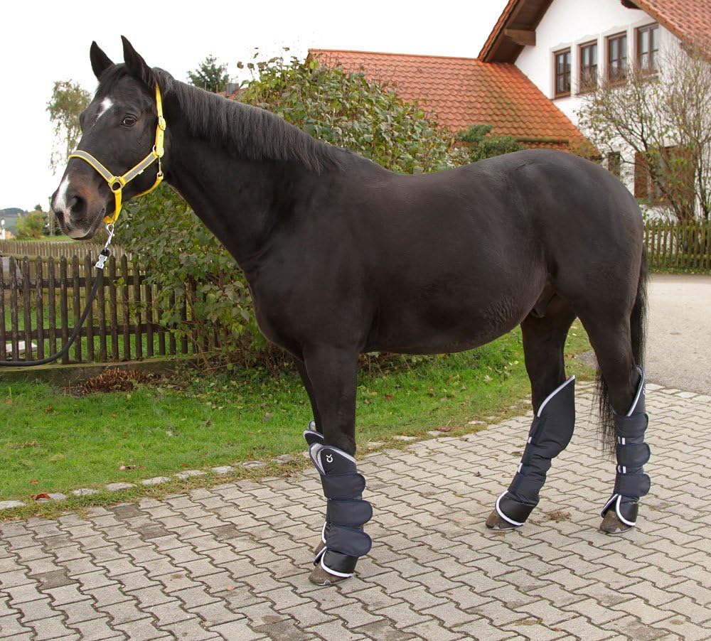 Kerbl 32452 Transportgamaschen Dexter