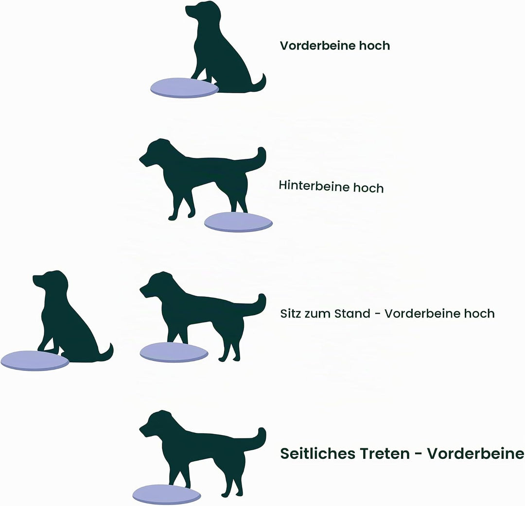 Fitpaws Balance-Disc für Hunde, 14", Violett