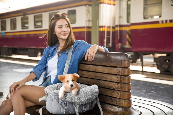 Hundetasche, Tragetuch, Tragetasche, Haustier, Transporttasche, Höhenverstellbar, Hundezubehör, Tran