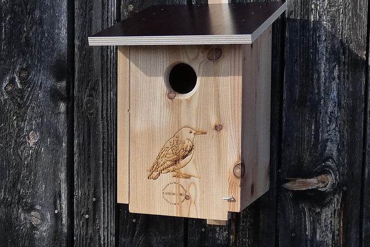 Premium Natur Lärchenholz Nistkasten unbehandelt nach Nabu, massives Vogelhaus Nisthilfe wetterfest