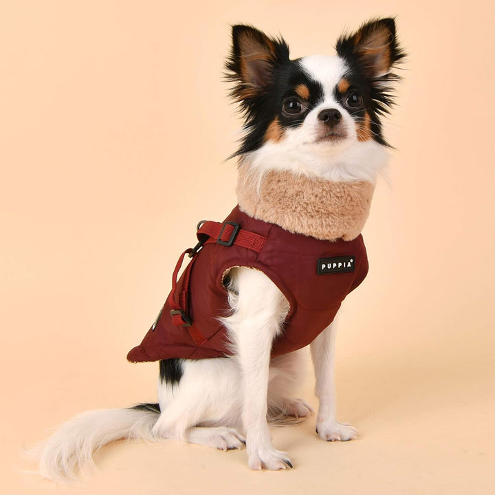 Puppia Donavan Winterweste - Wein - XL wein XL, Wein Rot XL