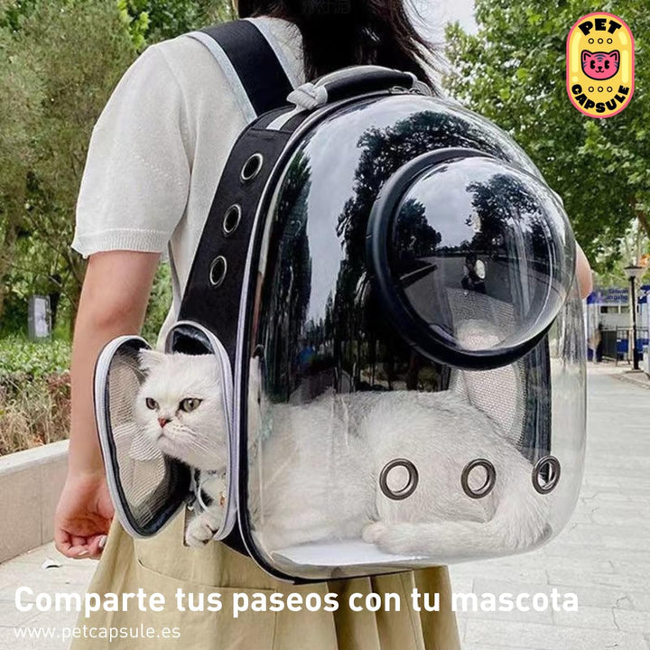 Transport-Rucksack für Katzen und kleine Hunde bis 6 kg, Kapselrucksack mit transparentem Fenster un