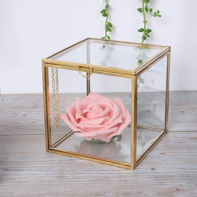 Mini Glas Geometrische Terrarium ContainerModerne Tischplatte Pflanzer Fensterbank Dekor Regale DIY