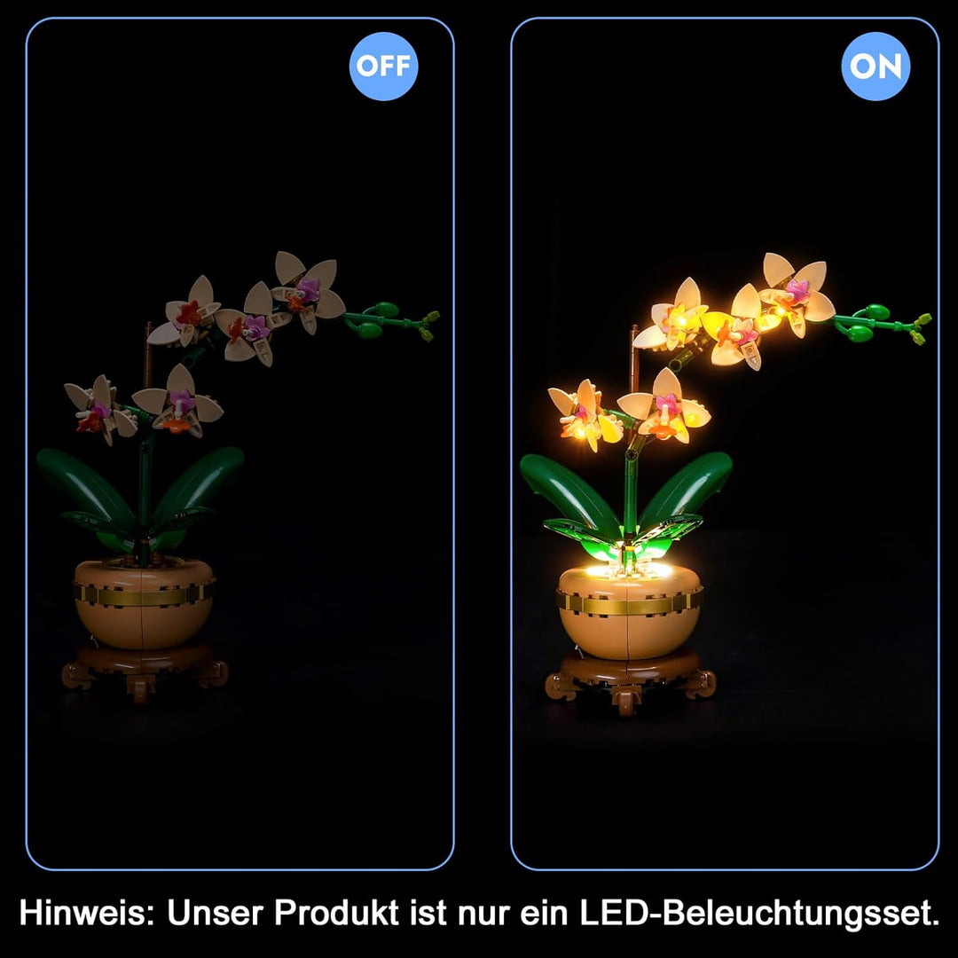 LocoLee Licht Set Kompatibel mit Lego 10343 Mini Orchidee (Kein LEGO-Modell), Licht Beleuchtung Set