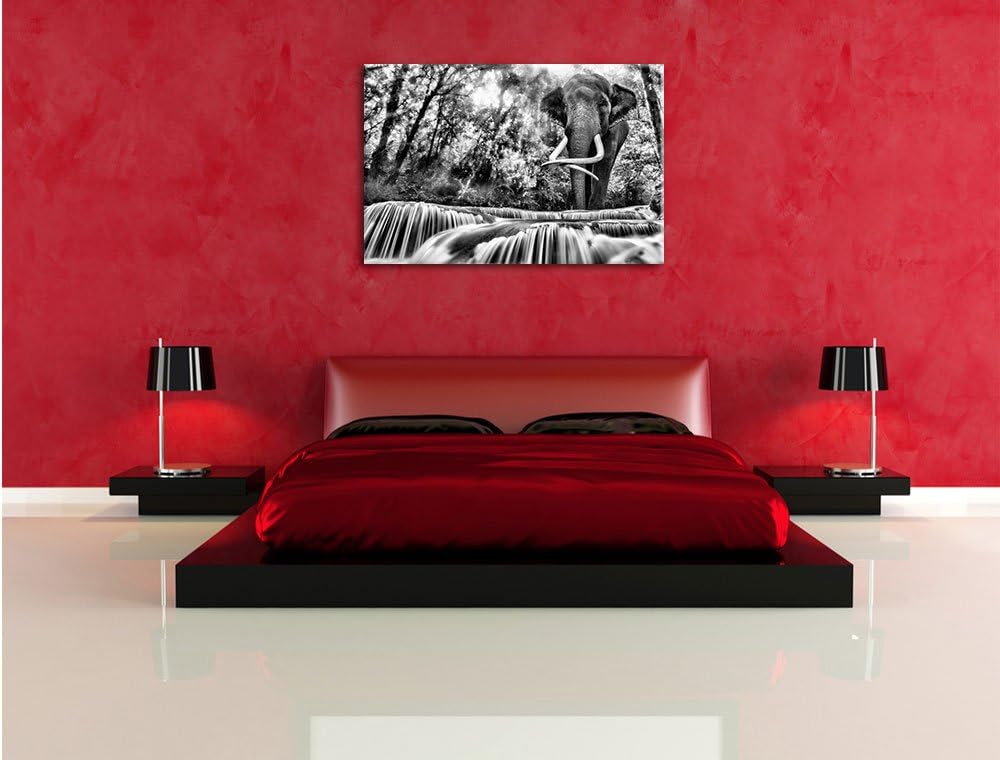 Pixxprint Monocrome, Elefant am Bach, Format: 100x70 auf Leinwand, 100x70