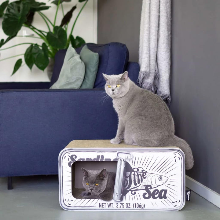 District 70 Sardine - Kratzmöbel für Katzen aus Wellpappe - 60 x 30 x 30 cm (Einheitsgrösse) - Weiss