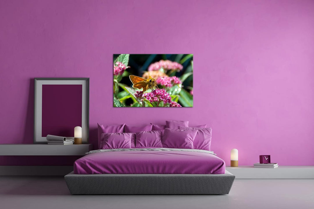 deyoli schöner Falter auf violetter Blume im Format: 100x70 als Leinwandbild, Motiv fertig gerahmt a