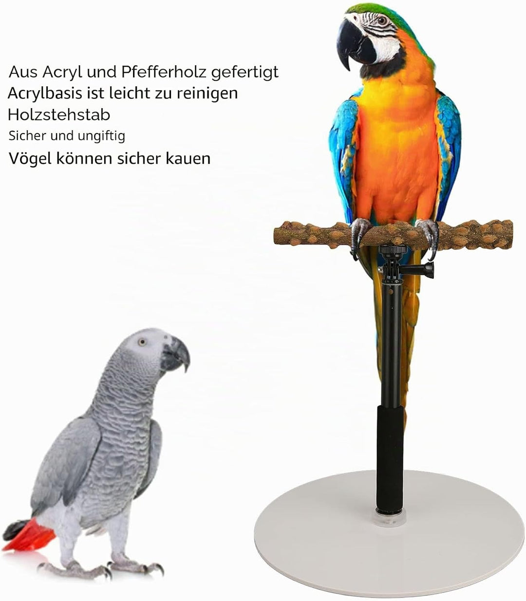 Verstellbare Vogelsitzstange, abnehmbare Acryl-Basis, tragbar, sicher in der Natur für den Innenbere