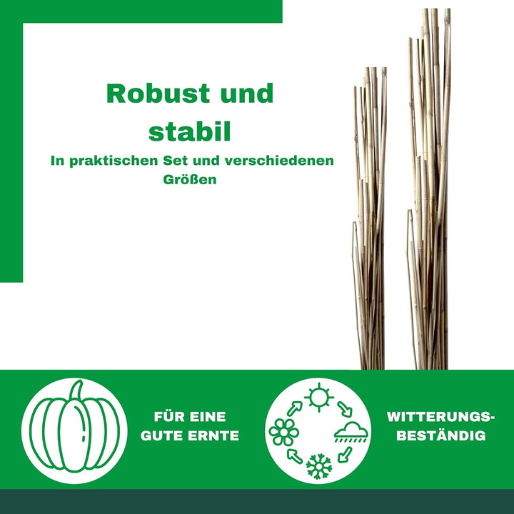 Novatool 5 Stück Tonkinstäbe 150 cm I ø 12-14 mm I Braun I Tonkinstab Rankhilfe Bambus Stab Bambusst