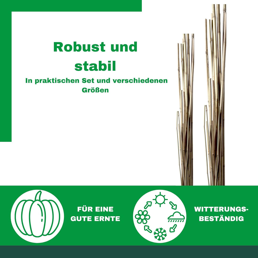 Novatool 20 Stück Tonkinstäbe 120 cm I ø 8-10 mm I Braun I Tonkinstab Rankstäbe Tomatenstäbe Ranksta