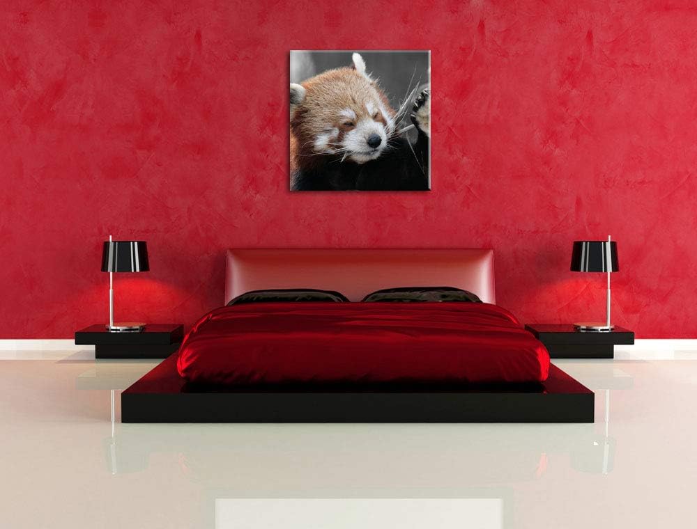 Pixxprint süsser Panda SAGT Hallo als Leinwandbild/Grösse: 70x70 cm/Wandbild/Kunstdruck/fertig bespa