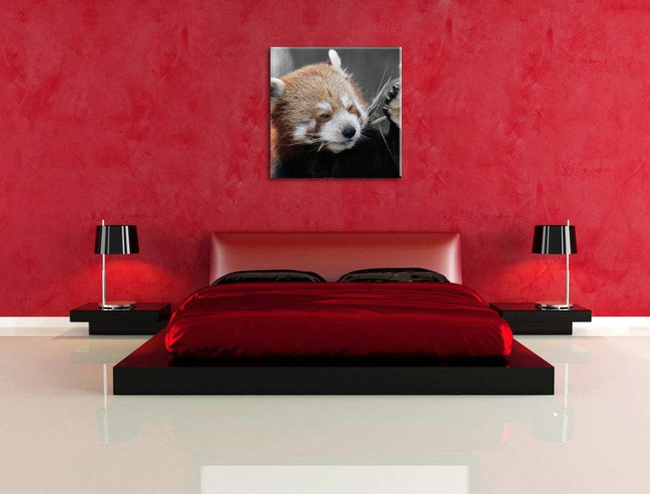 Pixxprint süsser Panda SAGT Hallo als Leinwandbild/Grösse: 70x70 cm/Wandbild/Kunstdruck/fertig bespa