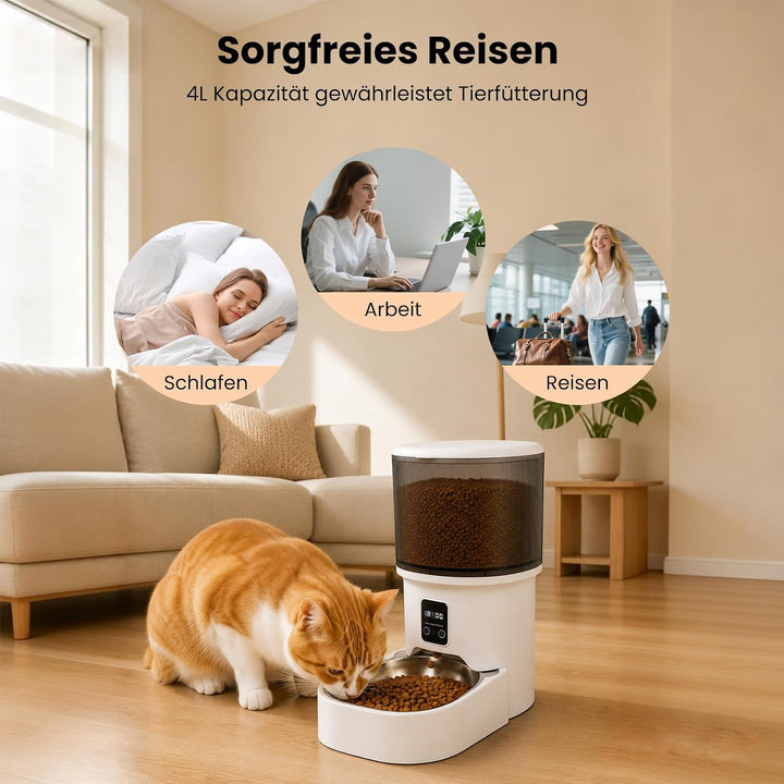 Futterautomat Katze 4 L, Katzenfutter Automat, 1-6 Mahlzeiten pro Tag, Futter für Katzen/Hunde, Mit