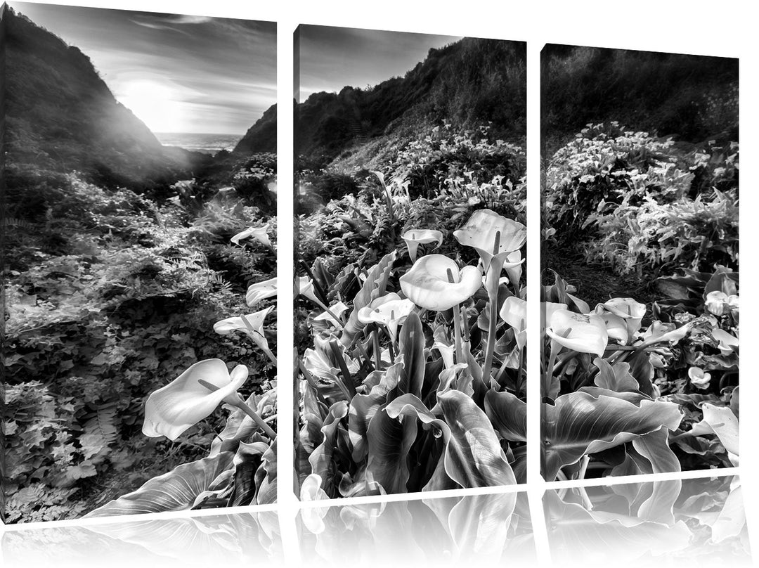 Pixxprint Blumenwiese in den Bergen als Leinwandbild/Grösse: 3 Teilig (120x80) / Wandbild/Kunstdruck